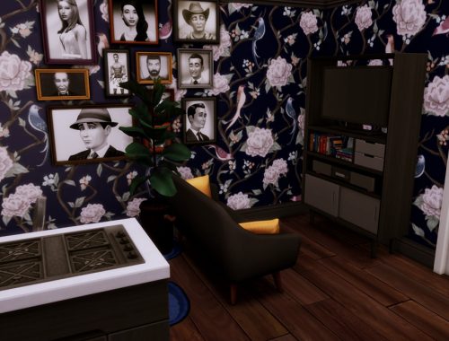 Small Exotic |No CC