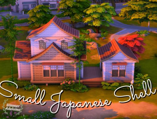 Small Japanese Shell