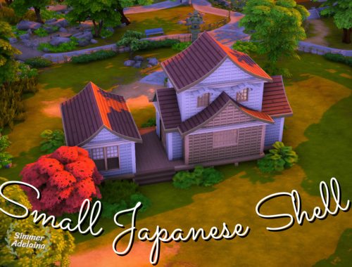 Small Japanese Shell