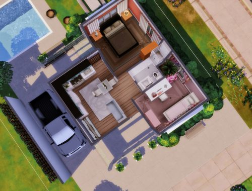 Small King- No CC