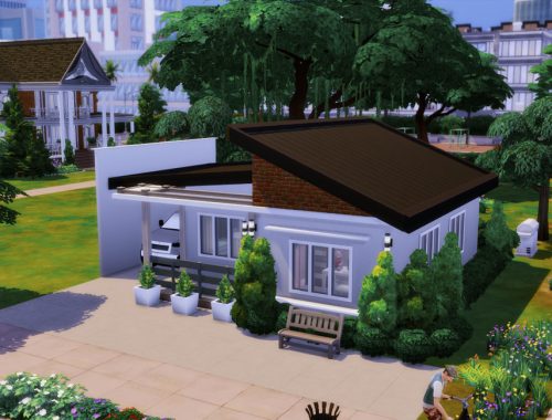Small King- No CC