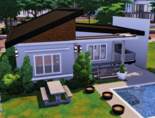 Small King- No CC