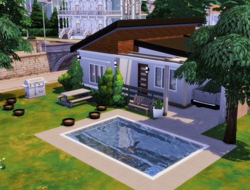 Small King- No CC