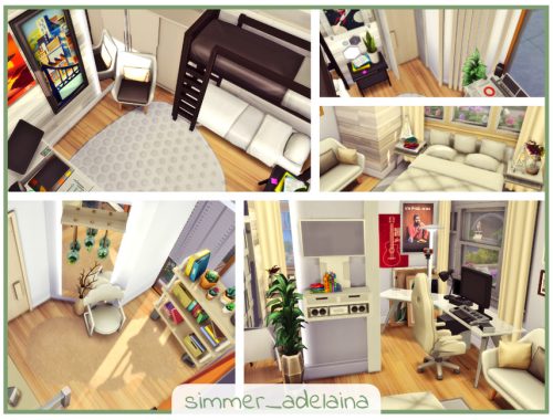 Small Modern Teen's House