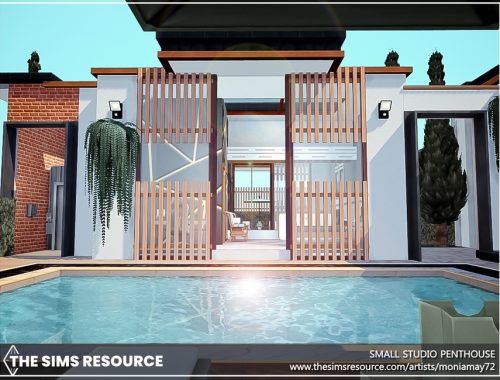 Small Studio Penthouse