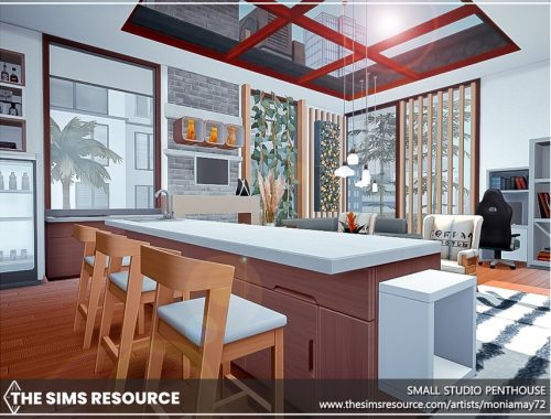 Small Studio Penthouse