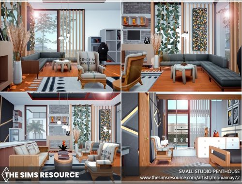 Small Studio Penthouse