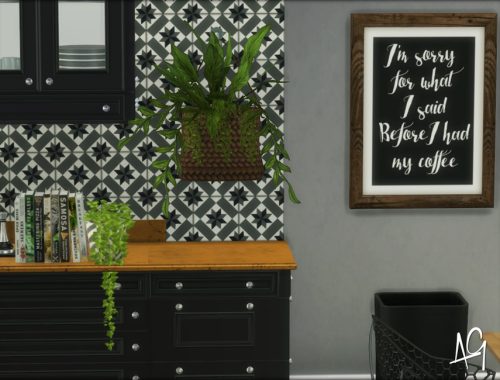 Southwestern Kitchen (Room)