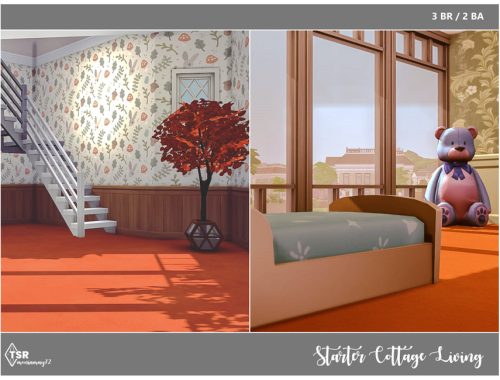 Starter Cottage Living No CC