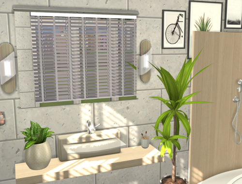 Summary Bathroom // CC needed