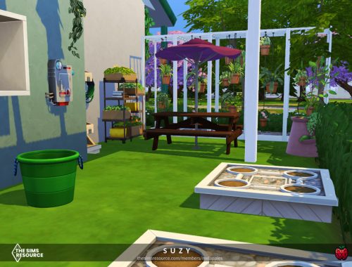 Suzy small home  - no cc