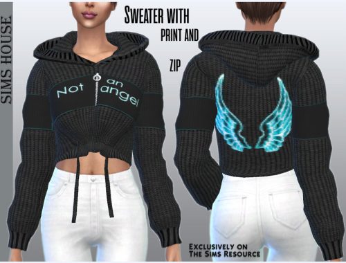 Sweater with print and zip