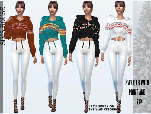 Sweater with print and zip