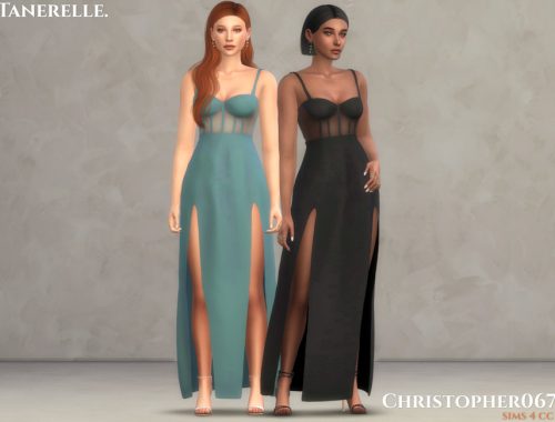 Tanerelle Dress / Christopher067