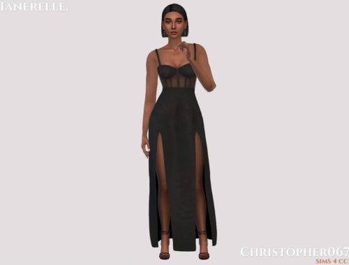 Tanerelle Dress / Christopher067