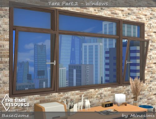 Tara Part.2 - Windows