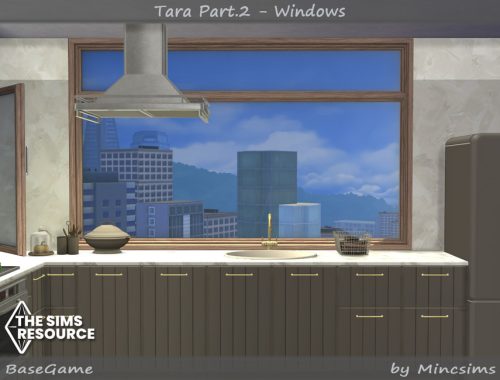 Tara Part.2 - Windows