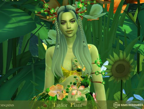 Taylor Plant - TSR CC Only