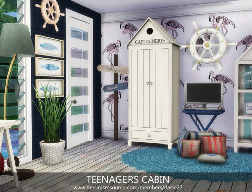 TEENAGERS CABIN