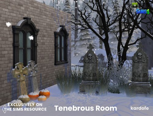 Tenebrous Room