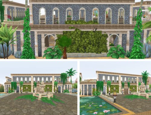 The Colosseum Gym