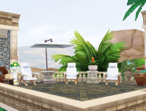 The Colosseum Gym