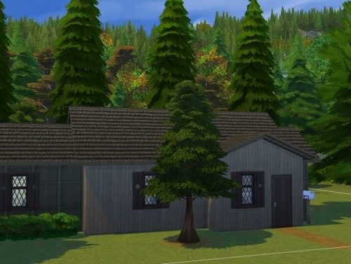 The decades challenge 1900’s home by iSandor