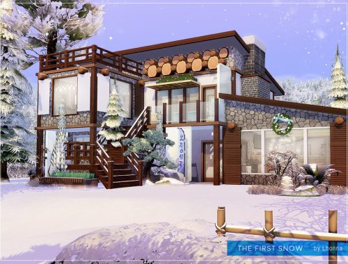 The First Snow
