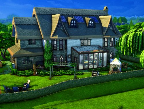 The Willow