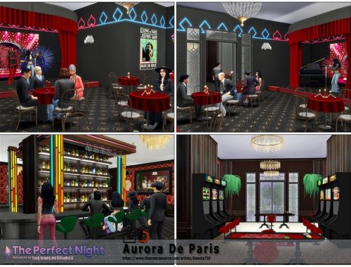 ThePerfectNight - Aurora de Paris