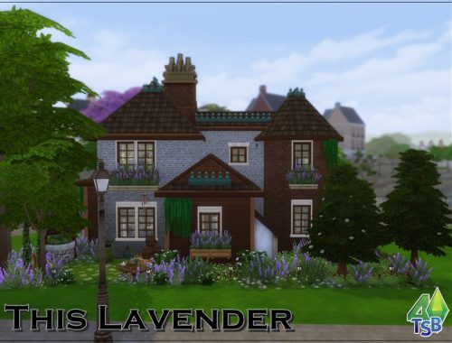This Lavender