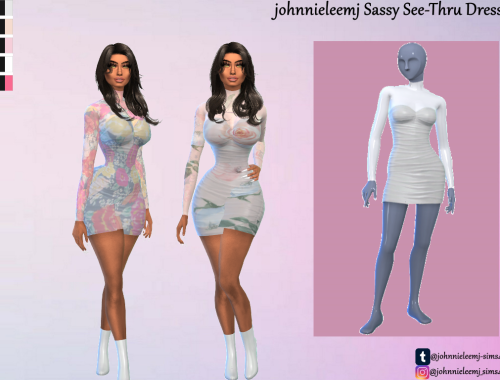 johnnieleemj Sassy See-Thru Dress