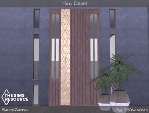 Tian Doors