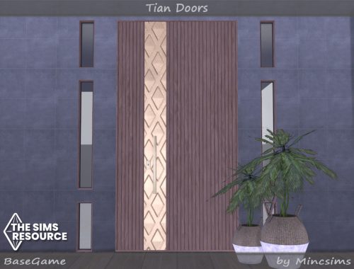 Tian Doors