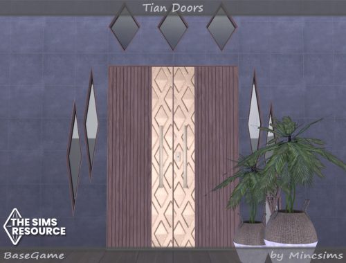 Tian Doors