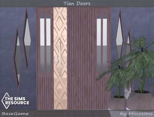 Tian Doors