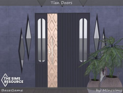 Tian Doors