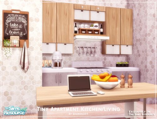 Tiny Apartment Kitchen/Living Room