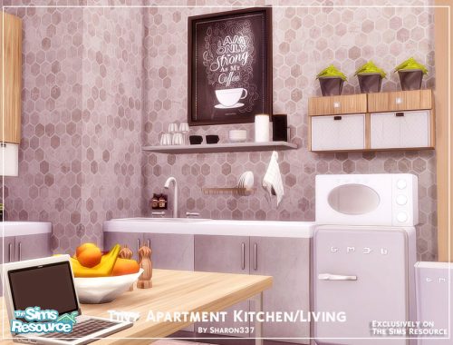 Tiny Apartment Kitchen/Living Room