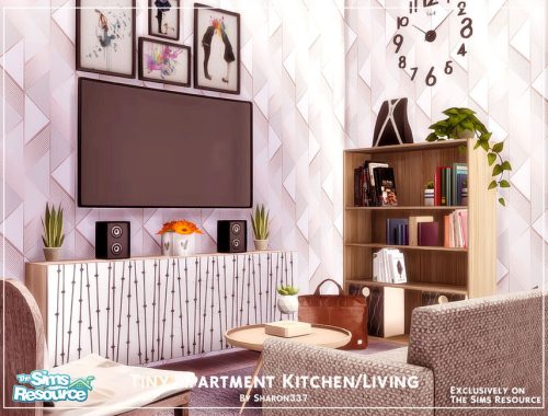 Tiny Apartment Kitchen/Living Room