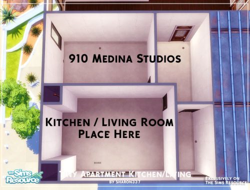 Tiny Apartment Kitchen/Living Room