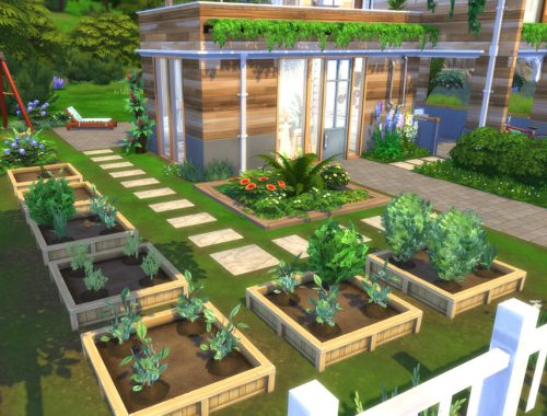 Tiny Family Home - NO CC
