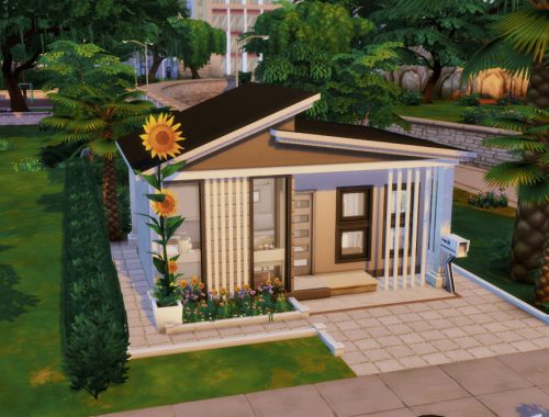 Tiny Latte- No CC
