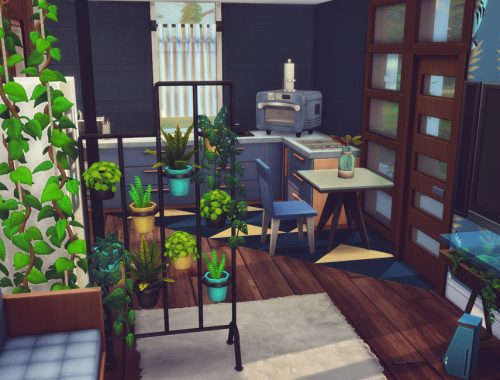 Tiny Luna |No CC
