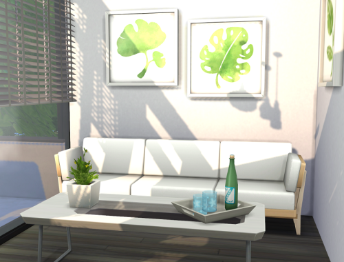 Tiny Modern Bungalow // No CC
