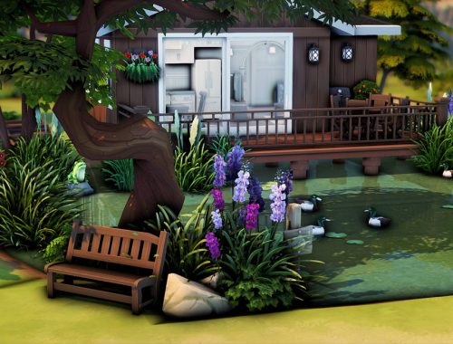 Tiny Pondview