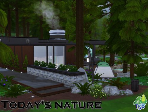 Today's Nature