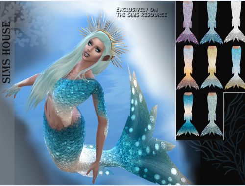 Top for Mermaid