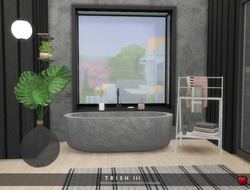 Trish - bathroom