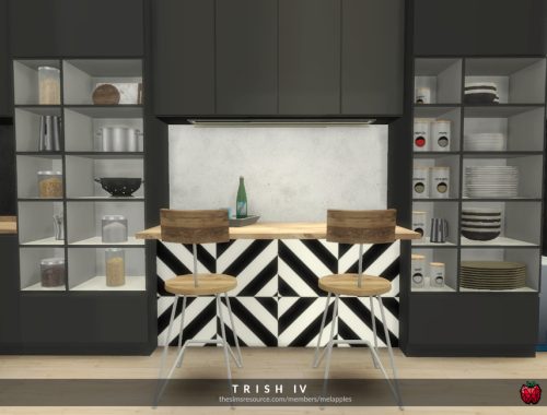 Trish - kitchen